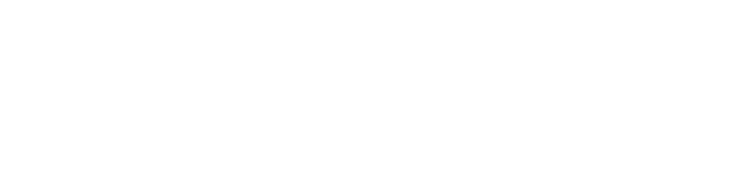 paradise logo